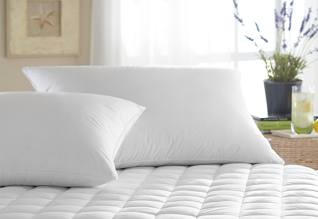 Intera WGD Pillow - Downright